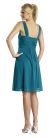 Ruched Twist Knot Bust Short Party Dress back